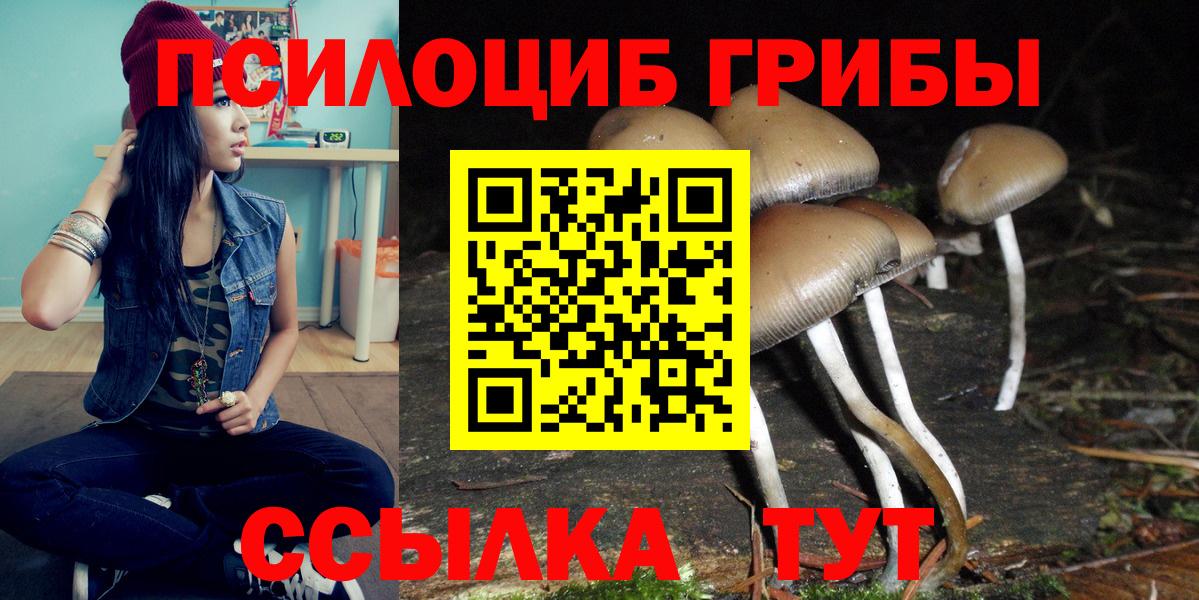 Псилоцибиновые грибы Magic Shrooms  где можно купить наркотик  Галлюциногенные грибы GOLDEN TEACHER  Полевской  Вход с VPN 